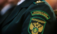 Экологические новости и полезная информация в Екатеринбурге Росприроднадзор сообщает