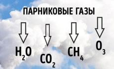 Экологические новости и полезная информация в Екатеринбурге Изменения в критериях отнесения объектов НВОС к I, II, III и IV категории