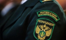 Экологические новости и полезная информация в Екатеринбурге 15 января — сдача отчёта о результатах мониторинга состояния и загрязнения окружающей среды
