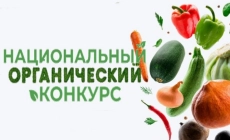 Экологические новости и полезная информация в Екатеринбурге Объявлен старт Национального органического конкурса — 2025☝