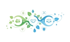 Экологические новости и полезная информация в Екатеринбурге ESG трансформация бизнеса в России: принципы и практика
